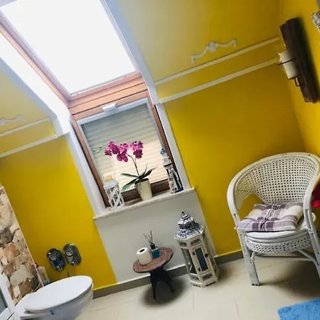 Guest house Sinos